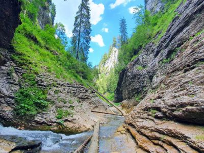 Cheile Somesului Cald